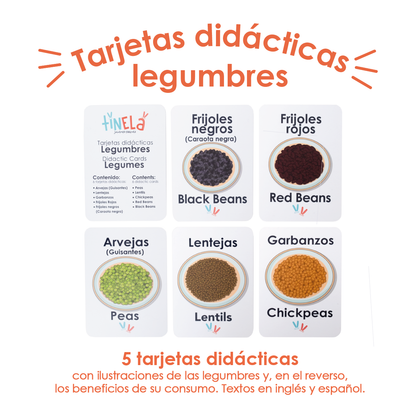 flash cards tarjetas didacticas